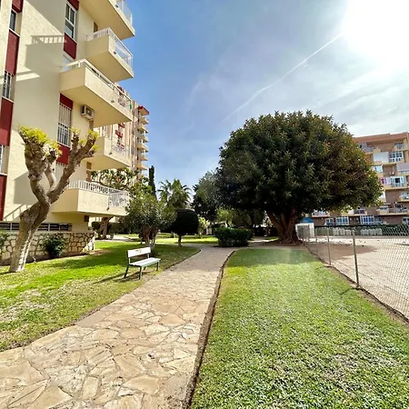 Hoja De Palma * Benalmadena